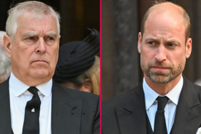 ANDREW’S SHAMELESS ‘PLEA’ FOR FORGIVENESS TO PRINCE WILLIAM JUST REVEALED!