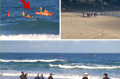 Police reveal HEARTBREAKING details in the search for an 18-year-old lifeguard who went missing at Buddina Beach on the Sunshine Coast.