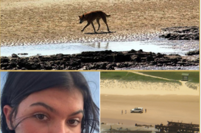 Cause of d-e:ath revealed for Canadian teenager Piper James after b0dy found on K’gari