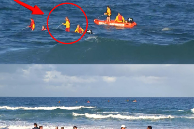 Surf lifesaver found after extensive search at Buddina Beach, Sunshine Coast