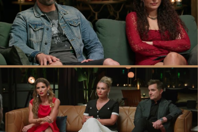 Married At First Sight’s fiery bride Juliette Chae savaged by experts and forced to apologise to husband Joel Moses over THAT dinner party attack: ‘Ugly, mean and cruel’