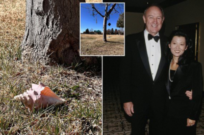 Gene Hackman and wife Betsy Arakawa’s lonely resting place marked only by a conch shell…as his three children battle over his $90M fortune one year after their shocking d-e:aths