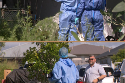 M-U:RDER CHARGE LAID AFTER QUEENSLAND MAN BRUTALLY S-T:ABBED TO DEATH WHILE HELPING A FRIEND MOVE IN WATERFORD WEST — CHILLING DOUBLE CRIME SCENE SHOCKS COMMUNITY!