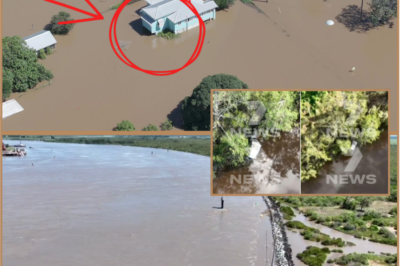 Queensland flood emergency: Major development as submerged 4WD found in hunt for missing Chinese tourists in Kilkivan