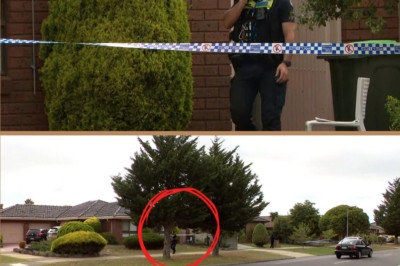 Newborn baby found in yard of home in Keilor Downs, Melbourne