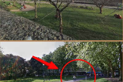 Woman ‘is r-a:ped in broad daylight attack at Bristol park’: Man in his 30s a-r:rested