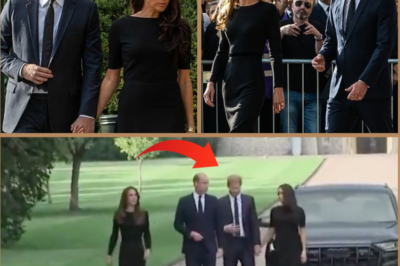 EXCLUSIVE: Princes William and Harry had a HEATED ‘ARGUMENT’ just ONE DAY after the Queen’s d-e:ath — and a shocking lip reader has now revealed EVERY word!