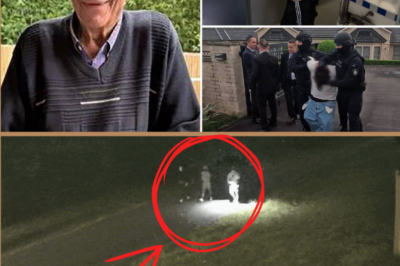 CCTV released, police seek three more men over Sydney grandfather’s d-e:a:th