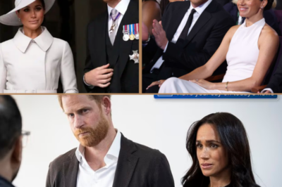 JUST 10 MINS AGO: Royal Backlash Erupts Over Prince Harry’s Security — But One Comment Is Fueling the Fire…