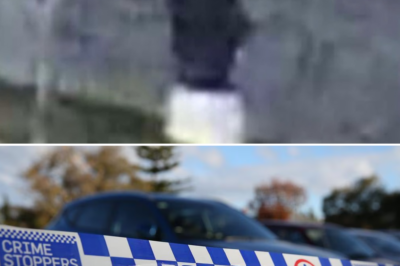 From underwear theft to s3:xual assault: Sydney police hunt for midnight intruder