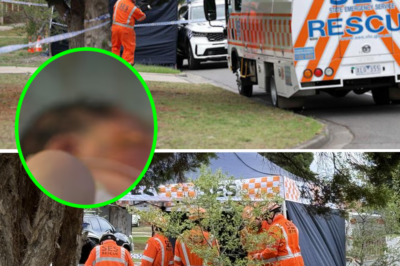 SHOCKING DISCOVERY: Neighborhood stunned as abandoned newborn is rescued from a backyard—Who is the mother?