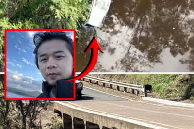 From a 2,800km journey to a fatal trip in Australia: Best friend reveals the burning ambitions of the young man tragically lost in the horrific floods