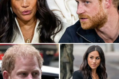 Meghan is not amused: A scathing comeback to the ‘deranged’ author’s bombshell allegations
