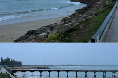 Water Operations, PolAir, and the State Emergency Service (SES)… were all mobilized to search for the three men off the Limestone Coast, but sadly, no miracle occurred