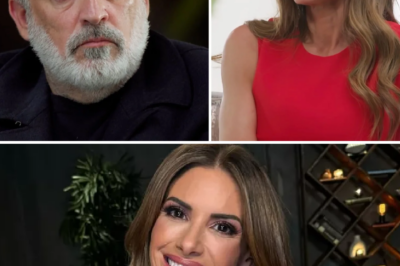 MAFS Bombshell: Steve Powell brands expert Alessandra a ‘producer’s puppet’ in a heated on-air showdown!