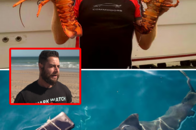 Face-to-face with a Great White: Australian fisher’s miraculous escape after his foot ended up inside the monster’s jaws at 12m deep!