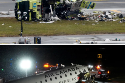 Flung 320 Feet While Still Strapped In: The Miracle Survival of Flight Attendant in Horror Fire Truck Collision
