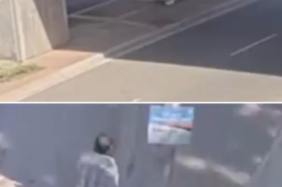 CCTV captures terrifying moment man pursues and brutally attacks mother and 14-year-old daughter in broad daylight