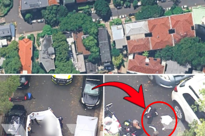 Sydney Police Sh00t Suspect After Armed Assault on Two Women in Inner-City Apartment