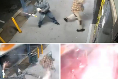 URGENT MANHUNT: Shocking CCTV Shows Fireball Explosion as Masked Arsonists Target Mackay Business