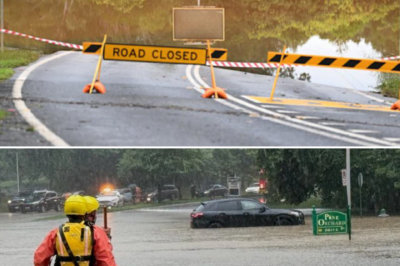 A Night of Terror in Queensland: The Extraordinary Rescue of 13 Passengers Trapped on a Bus