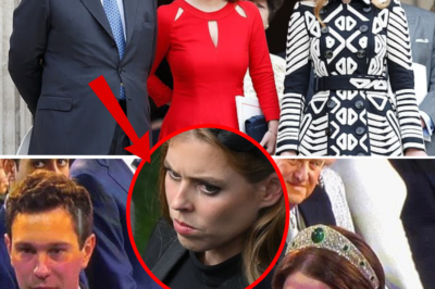 17 holidays in a single year: The shocking revelation of a secret £100,000 payment “funneled” to Princesses Beatrice and Eugenie
