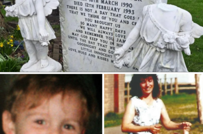 “I am devastated…”: James Bulger’s mother is determined to find the heartless person who vandalised her young son’s grave