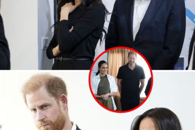 WHO chief expresses gratitude to Harry and Meghan following their meaningful trip to Jordan