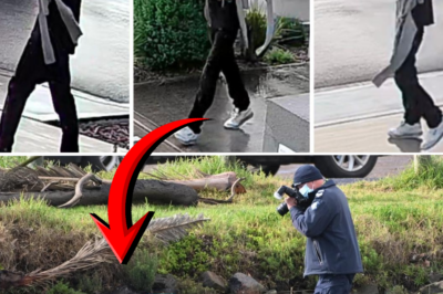 The mystery of the “Mum 1964-2006” tattoo: Australian police urgently seek relatives of man found d3:ad in Maribyrnong River!