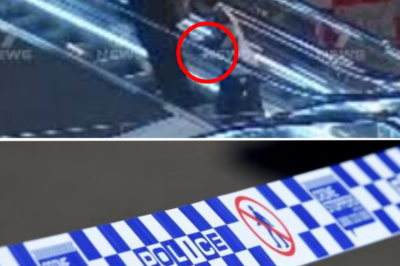 Health update: The condition of the woman randomly st@:bbed in a Melbourne shopping centre