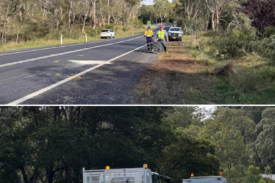 HORRIFIC HEAD-ON CRASH IN SOUTHERN NSW: 3 D3:AD, CONDITION OF 2 CHILDREN IN MANGLED WRECK REVEALED