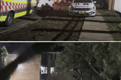 The two-hour siege in Whalan: Sydney police capture fugitive after a wild high-speed pursuit
