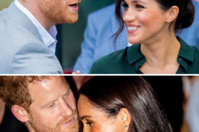 Why are Harry and Meghan still heading to Australia, knowing full well they’ll be walking straight into a lions’ den to be torn apart?