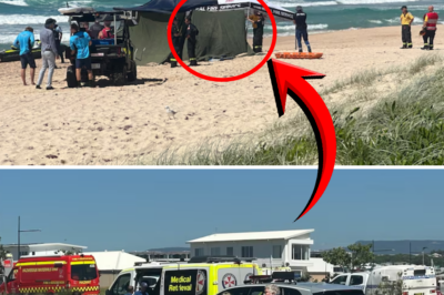 Cries for Help on a Deserted Shore: The double tragedy at Shell Cove and the heartbreak of those left behind