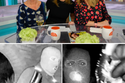 Chilling new theory emerges in the Nancy Guthrie kidnapping case