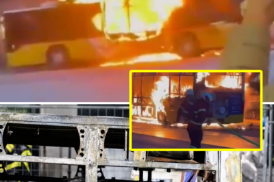 Switzerland Bus Tragedy: Six d3:ad after suspected self-immolation by dousing in gasoline and setting fire