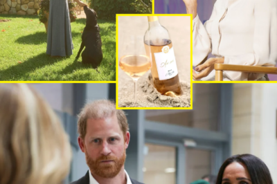 MILESTONE MOMENT — Meghan Markle’s brand hits one year as insiders hint at ‘strong trajectory’