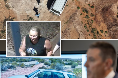 THE CAR THEY COULDN’T IGNORE…Search for missing woman ends with chilling discovery that deepens the mystery