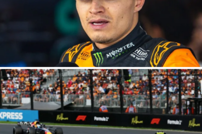A tense moment unfolded in Formula 1 after Lando Norris made a blunt admission following a difficult day at the Australian Grand Prix