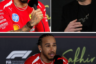 A single comment from Elon Musk has ignited a storm online after Lewis Hamilton made a powerful remark about land and history in Africa.