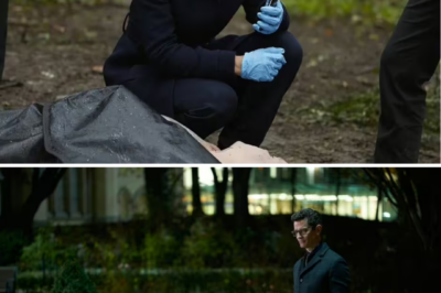 BINGE-WATCH PANIC — Fans Rush to Finish ‘One of the Best TV Shows Ever’ Before It Leaves Netflix