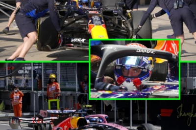 WE GOT IT WRONG… — Red Bull Racing Apologise to Max Verstappen After Sprint Disaster