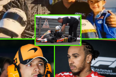 PIT STOP SHOCK — The Race Track Associated with Lewis Hamilton & Lando Norris is in Danger of Disappearing