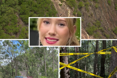 Double Tragedy — Another F4:tal V!ctim After H0rrific Fall in Glass House Mountains