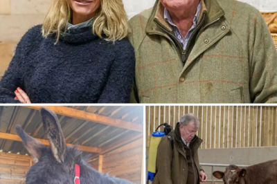 FARM FAREWELL & NEW BEGINNING… — Clarkson’s Farm confirms new Diddly Squat Farm member for 2026 after tragic loss