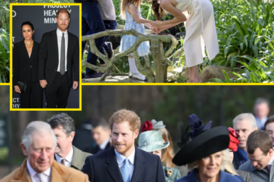 “REUNION HOPES.” — Prince Harry is reportedly reaching out — and the request could spark a royal storm