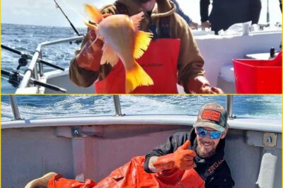 “Lost at Sea” — De-a-dliest Catch Star Todd Meadows, 25, Di-es Amid Brutal Bering Sea Filming