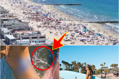 🚨 TERRI-FYING SHARK ENCOUNTER ON SO-CAL BEACH! 🚨 A surfer came face-to-face with a great white shark off a Southern California beach, and the story is chil-ling viewers everywhere.