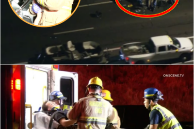 We all tried to pry the doors open… — Witness recounts desperate attempt to save family trapp3d in h0rrific California crash