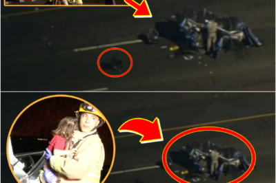 Witness Recounts Heartbreaking Struggle on California Freeway — ‘We All Tried to Pry the Doors Open, One, Two, Three… But We Couldn’t Save Them’